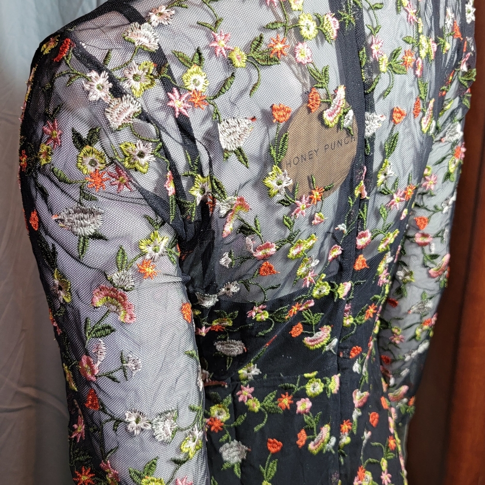 HP 🍾 Honey Punch NWT Dress - Picture 12 of 16